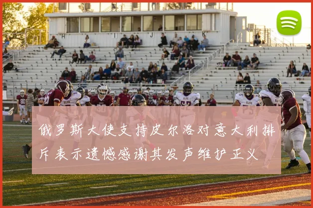 俄罗斯大使支持皮尔洛对意大利排斥表示遗憾感谢其发声维护正义
