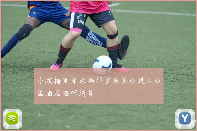 小埃梅里年未满21岁或无法进入法国酒店酒吧消费